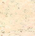 大理石　トラバーチン　の写真